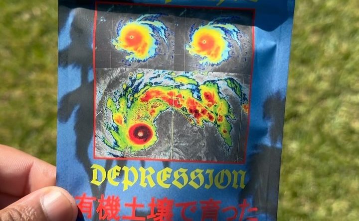 tropical depression by watson supply strain review by jointswithjalen