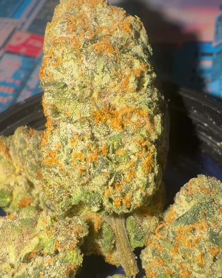 turkey legs by teds budz x official gooniez x bela strain review by jointswithjalen 2