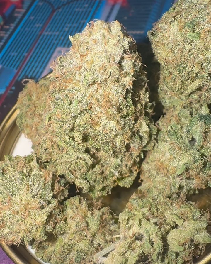 zkittles by playbook genetics x coach smellacheck strain review by jointswithjalen 2