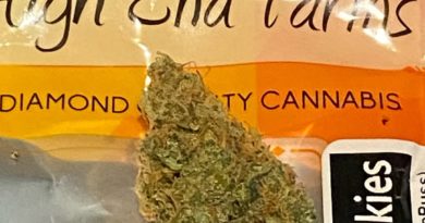 cat piss cookies by high end farms strain review by getbbudded23