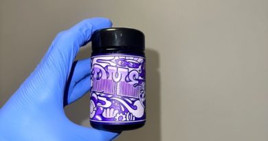 georgia pie x blue cookie by don merfos exoticz strain review by candylandreviews 2