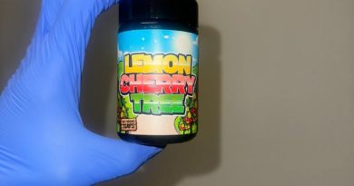 lemon cherry tree by always faded strain review by candylandreviews