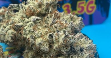 tricho jordan by hi-fuel strain review by getbbudded23