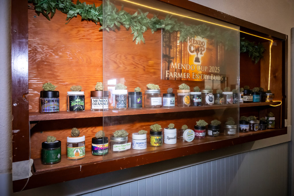 Display Case Mendo Cup 2025