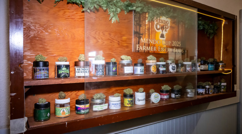 Display Case Mendo Cup 2025