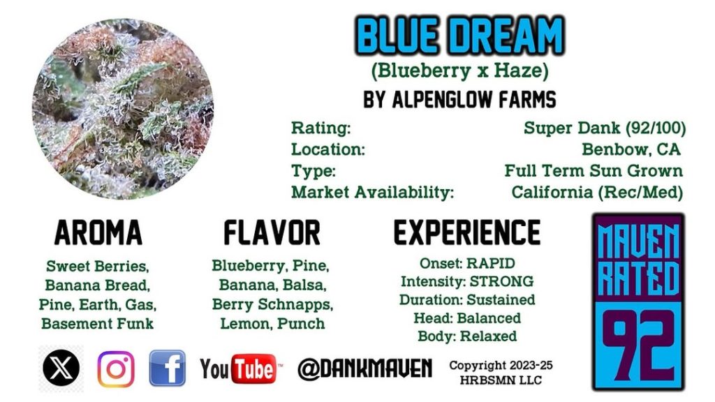blue dream by alpenglow farms strain review by dank maven