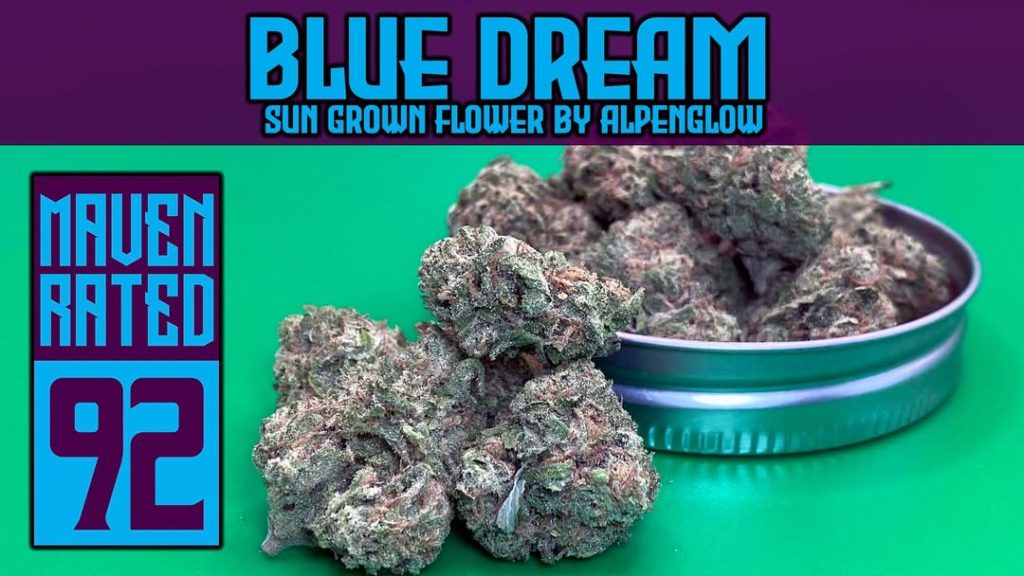 blue dream by alpenglow farms strain review by dank maven 2