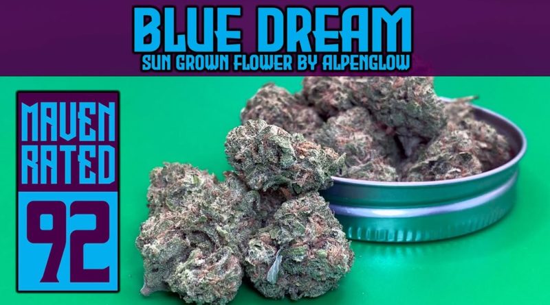 blue dream by alpenglow farms strain review by dank maven 2