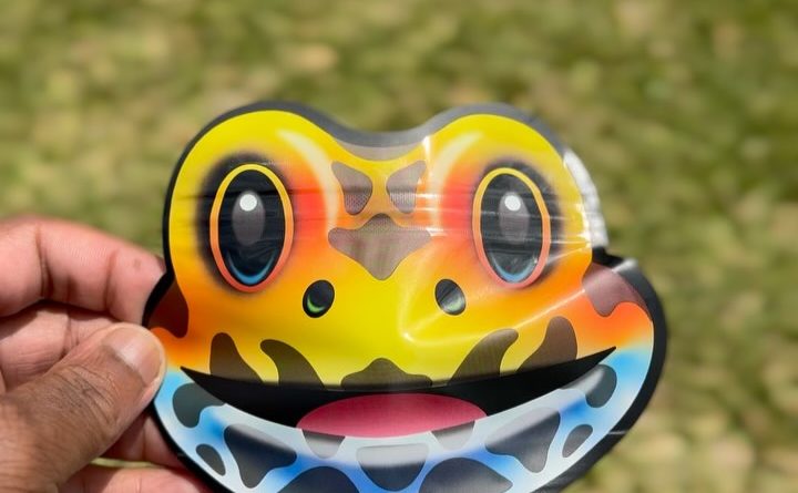 frog poison by northbay gardens x cut right cannabis strain review by jointswithjalen