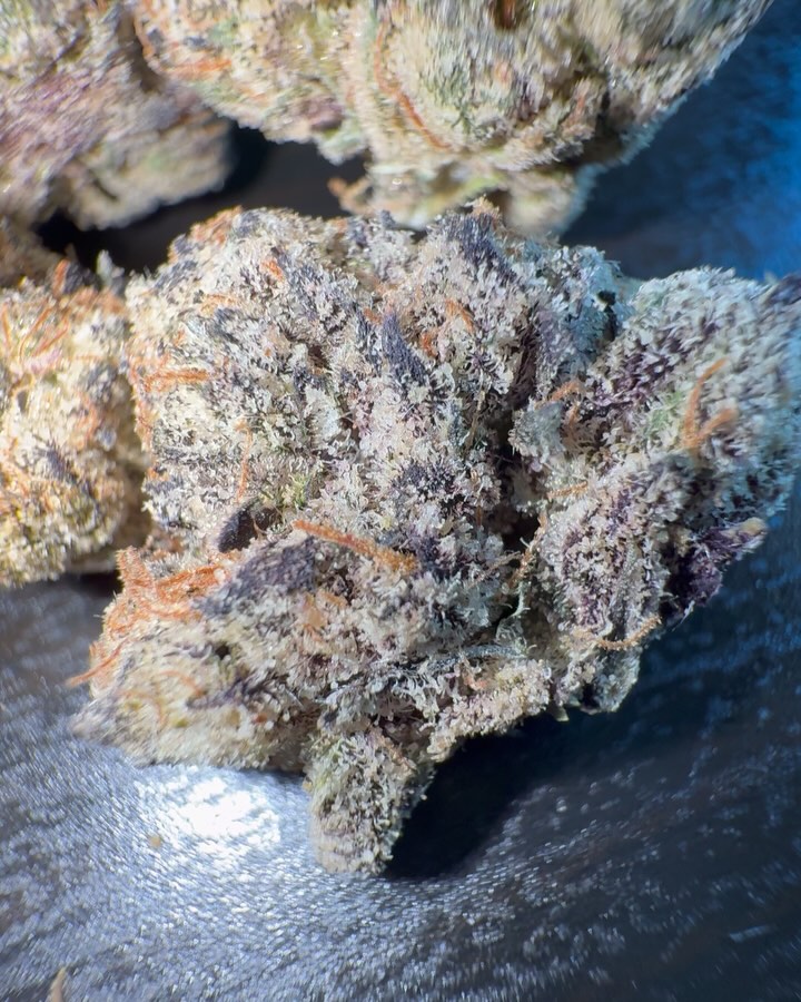 meatloaf by teds budz strain review by eriksreviews