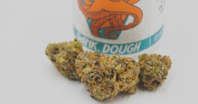 jarscannabis