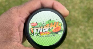 melon nishi by the tenco strain review by jointswithjalen