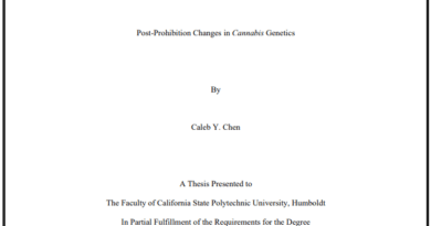 post-prohibition changes in cannabis genetics screenshot