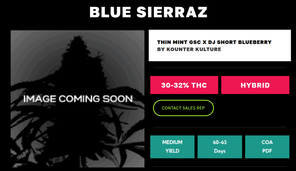 blue sierraz image coming soon phinest cannabis website screenshot 2025
