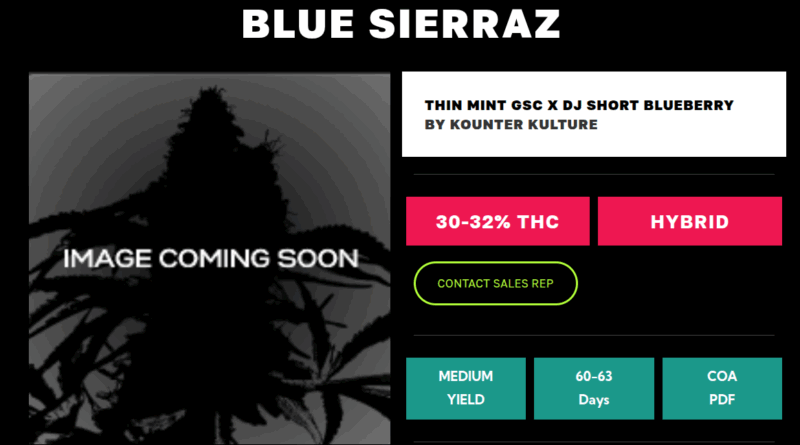 blue sierraz image coming soon phinest cannabis website screenshot 2025