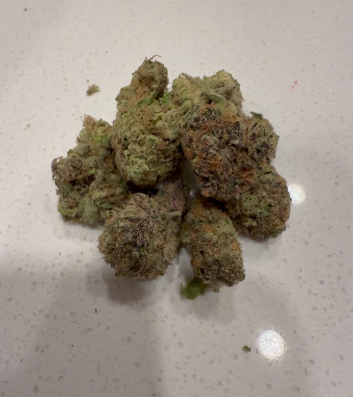 chain snatcher by aintnobodycool strain review by eriksreviews