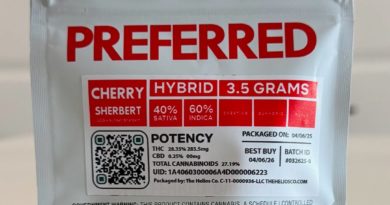 cherry sherbet by preferred gardens strain review by eriksreviews 2