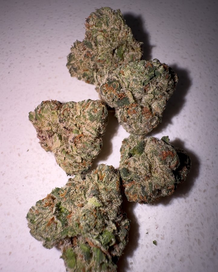 cherry sherbet by preferred gardens strain review by eriksreviews