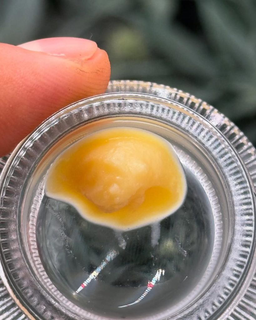 galactic warheads badder by cream of the crop gardens concentrate review by yieldisdead