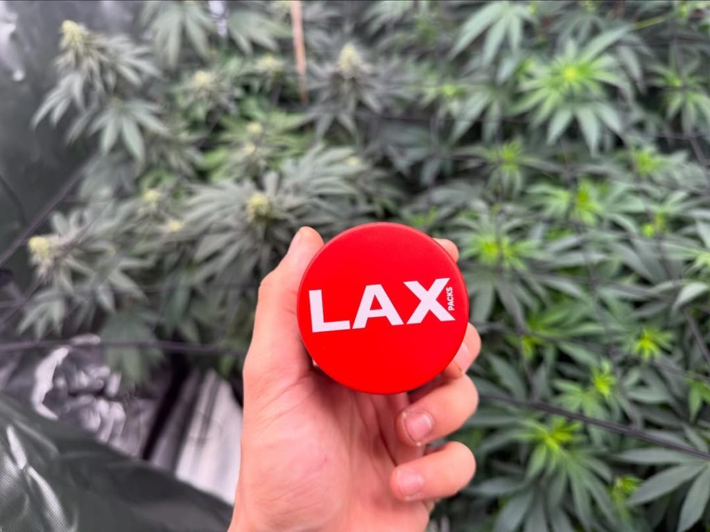 gmochi by lax packs strain review by yieldisdead 2
