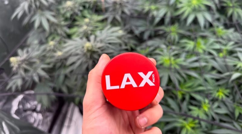 gmochi by lax packs strain review by yieldisdead 2