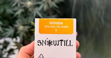 gouda by snowtill organics strain review by yieldisdead 2