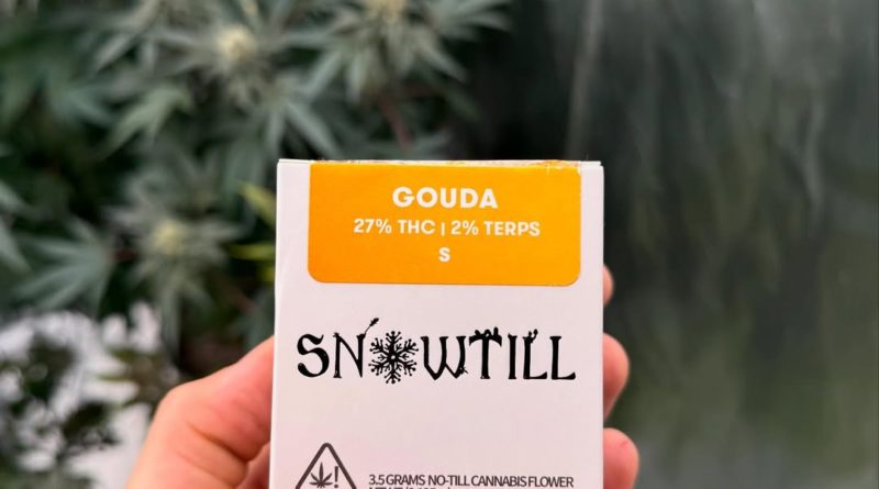 gouda by snowtill organics strain review by yieldisdead 2