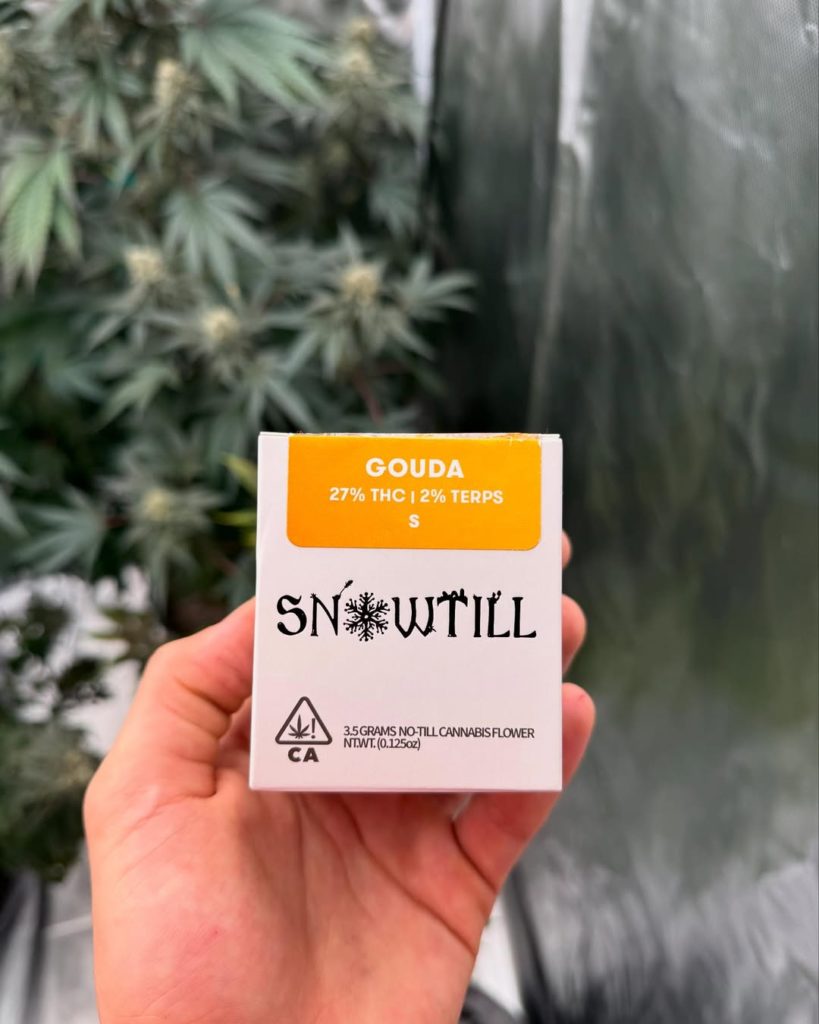 gouda by snowtill organics strain review by yieldisdead 2