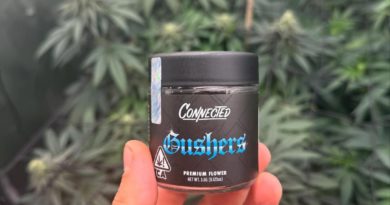 gushers by connected cannabis co strain review by yieldisdead 2