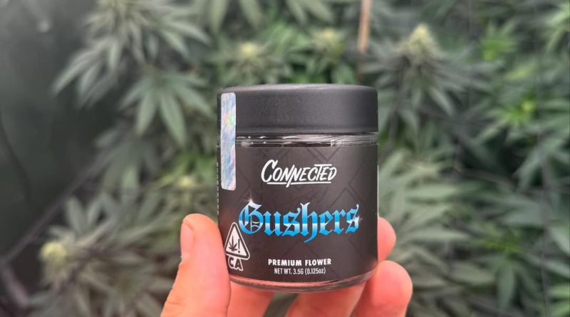 gushers by connected cannabis co strain review by yieldisdead 2