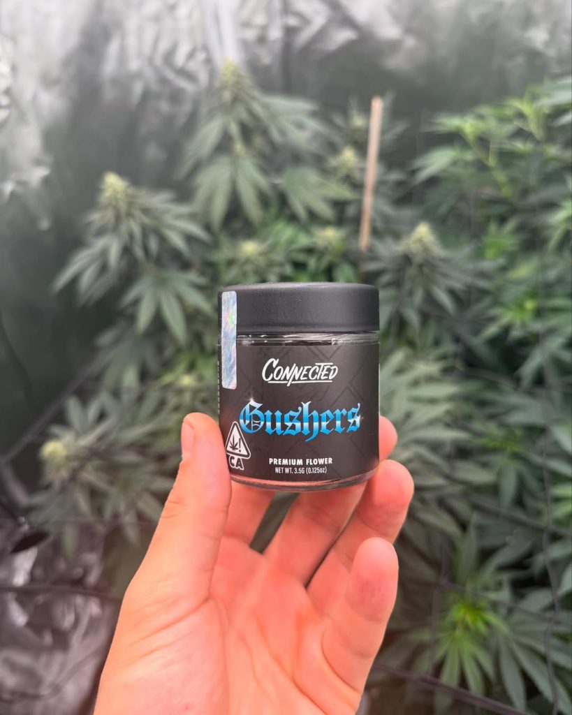 gushers by connected cannabis co strain review by yieldisdead 2