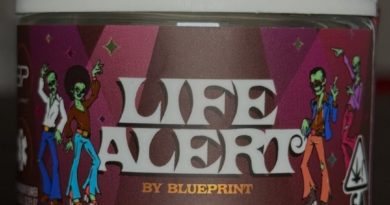 life alert by blueprint strain review by eriksreviews 2