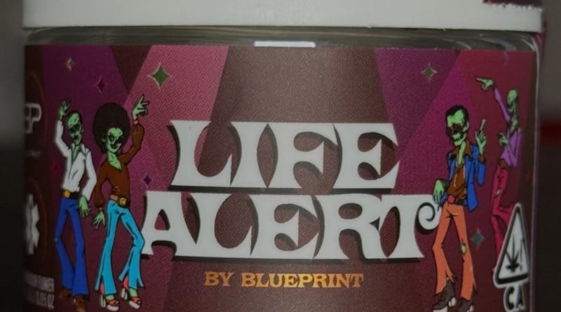 life alert by blueprint strain review by eriksreviews 2