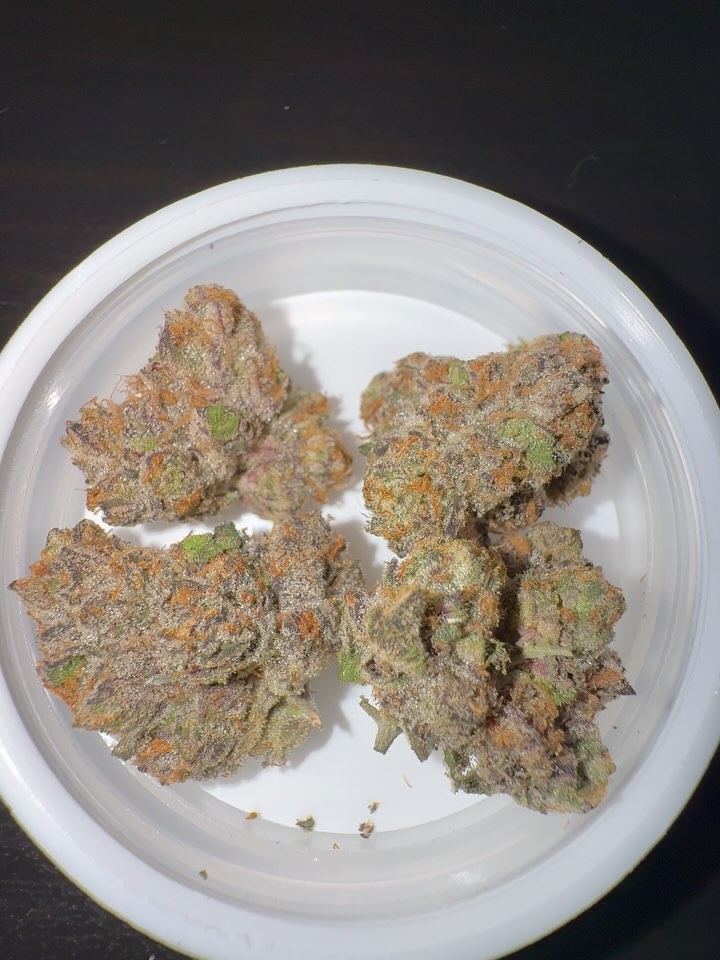 life alert by blueprint strain review by eriksreviews