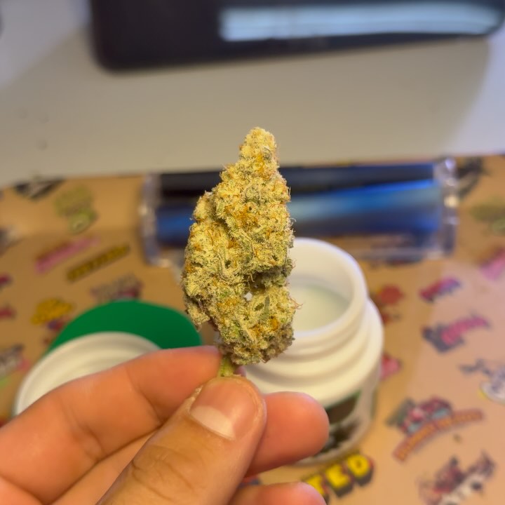 mac1 by capulator strain review by yieldisdead