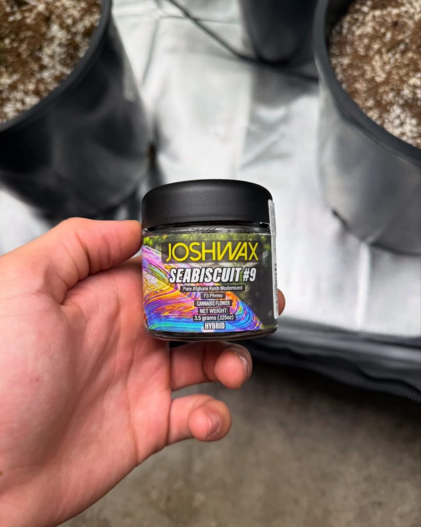seabiscuit 9 by joshwax strain review by yieldisdead 2
