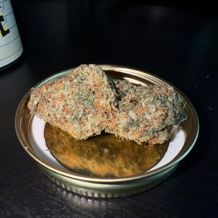shocktane by playbook genetics strain review by eriksreviews