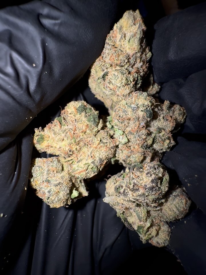 shonuff by ball family farms strain review by eriksreviews