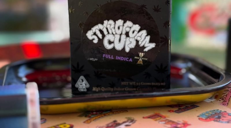 styrofoam cup by team elite genetics 2025 strain review by yieldisdead 2