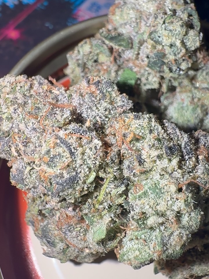 toad venom by iykyk strain review by jointswithjalen 2
