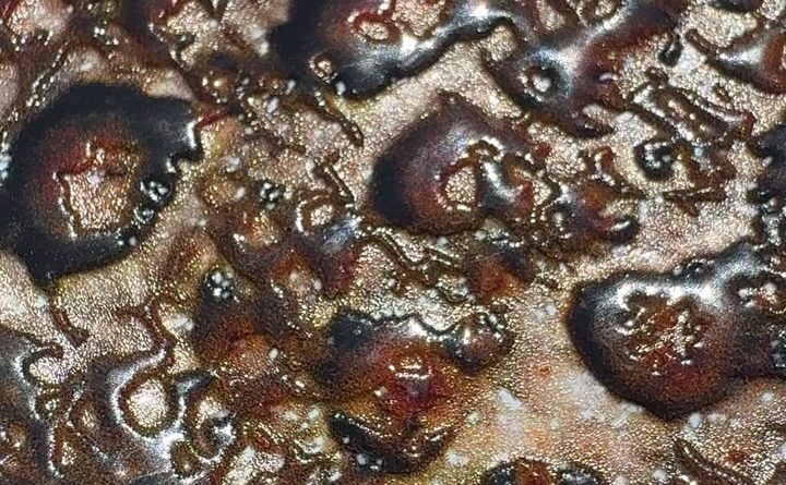 toad venom by iykyk strain review by jointswithjalen