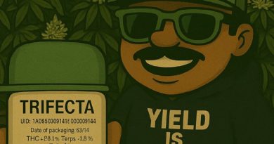 trifecta by capulator strain review by yieldisdead 2