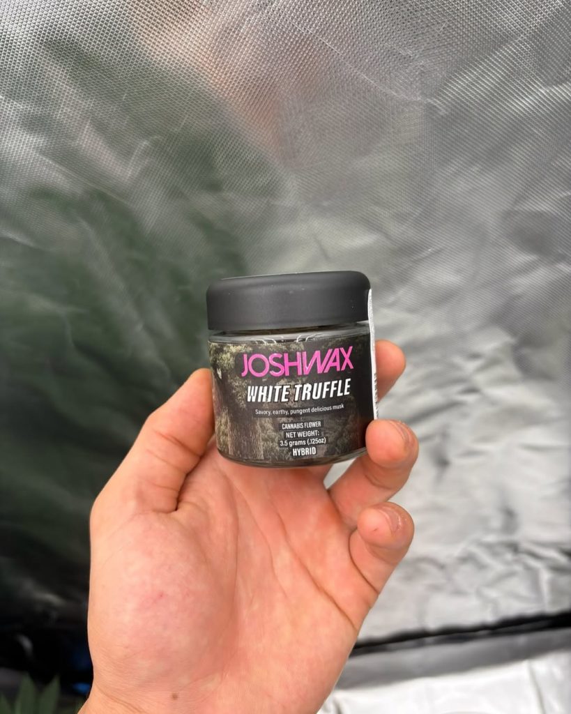white truffle by joshwax strain review by yieldisdead 2