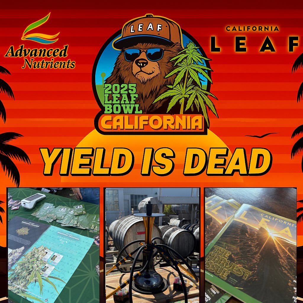 2025 california leaf bowl in richmond ca event recap