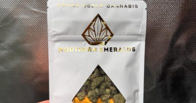 91 gmo by northern emeralds strain review by yieldisdead 2