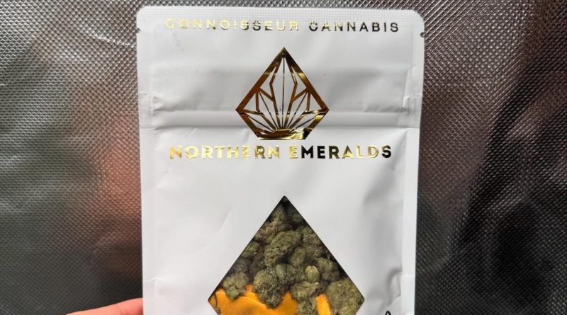 91 gmo by northern emeralds strain review by yieldisdead 2