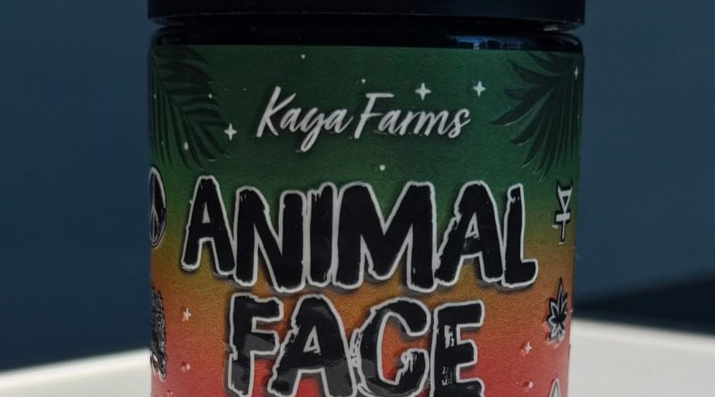 animal face by kaya farms strain review by eriksreviews 2