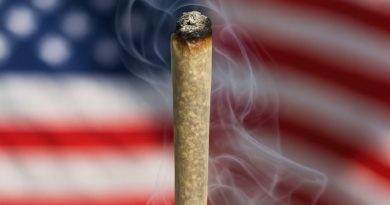 blue jamz by heady heads strain review by yieldisdead