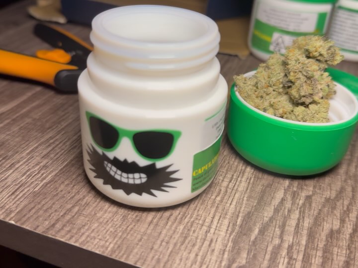 cap junky by capulator x seed junky genetics strain review by yieldisdead