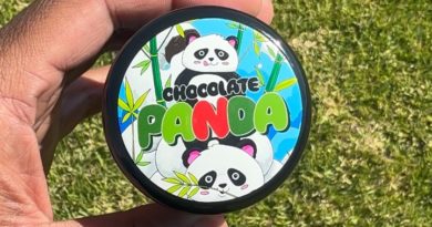 chocolate panda by umami genetics strain review by jointswithjalen